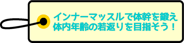 インナーマッスルで体幹を鍛え 体内年齢の若返りを目指そう!