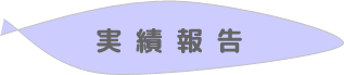 実績報告