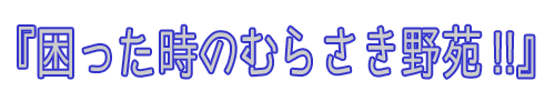 困った時のむらさき野苑