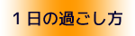 1日の過ごし方」